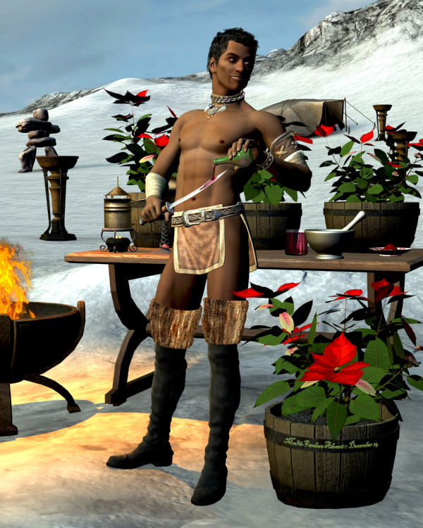 [IMG] 14-Entreri-poinsettia-01-fix.jpg