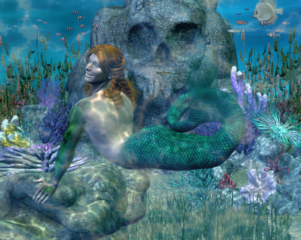 [IMG] sagefish-prettyfins-01-fix.jpg