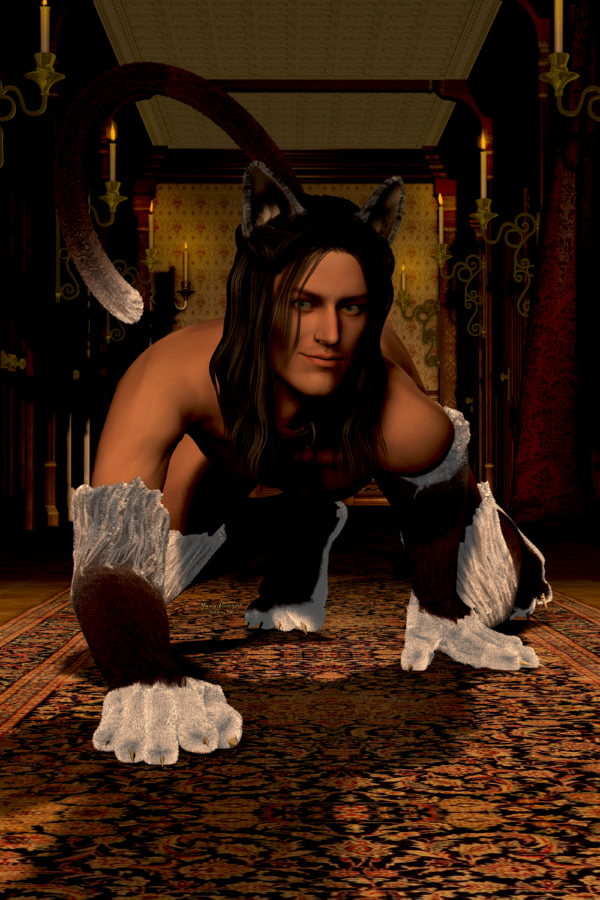 [IMG] 2026-10-01-Leofric-spoopymeow-01-fix.jpg